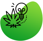 cannabis startup consulting