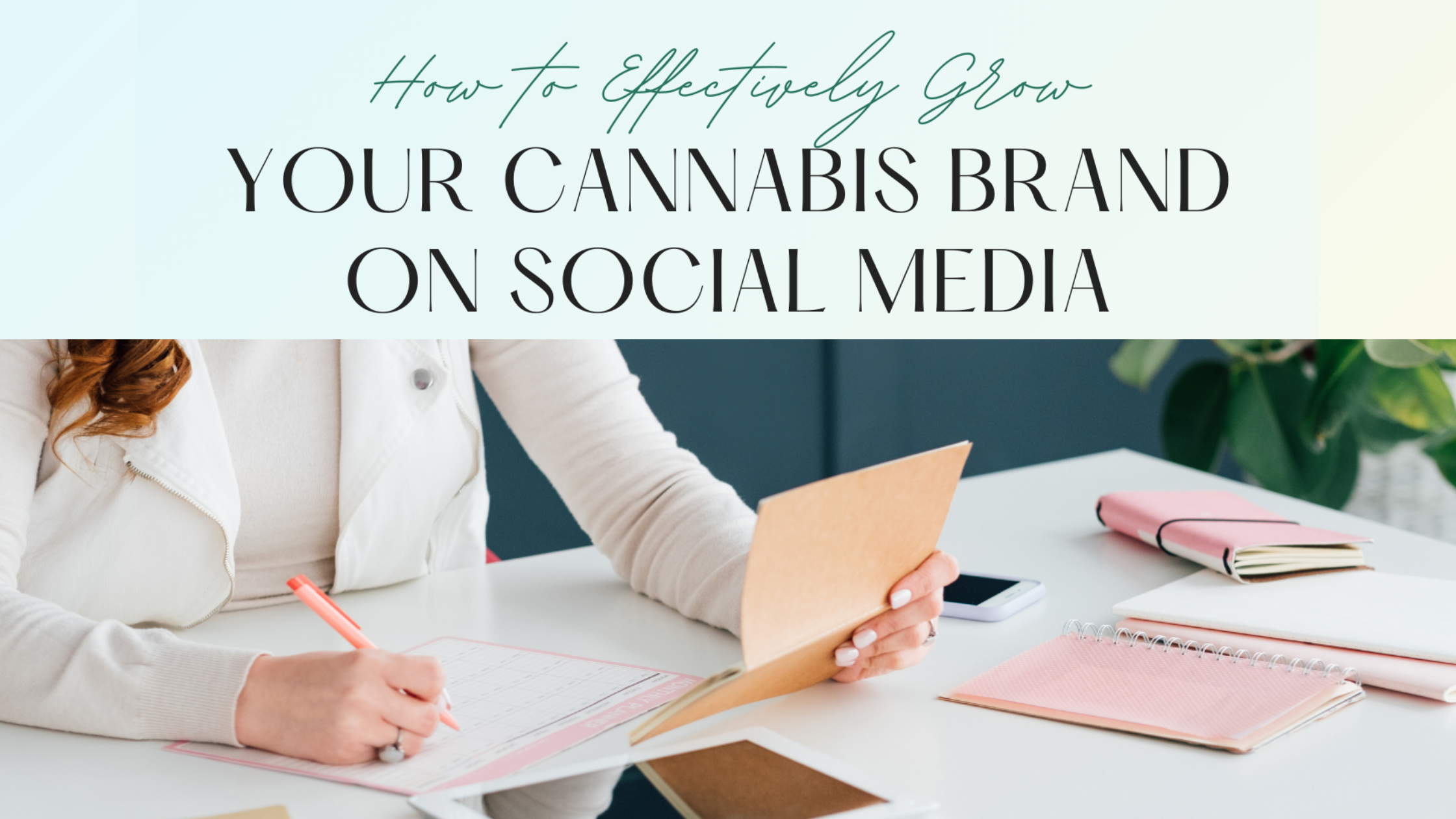 Social Media Strategies to Grow your NJ Cannabis Brand