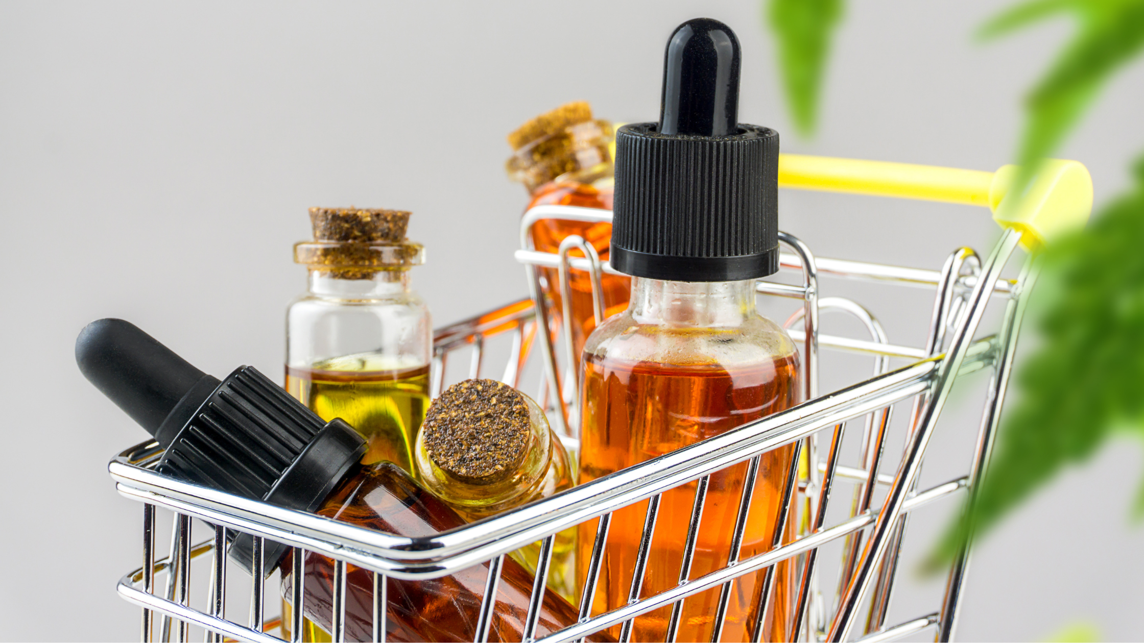 content-marketing-for-cannabis-growth